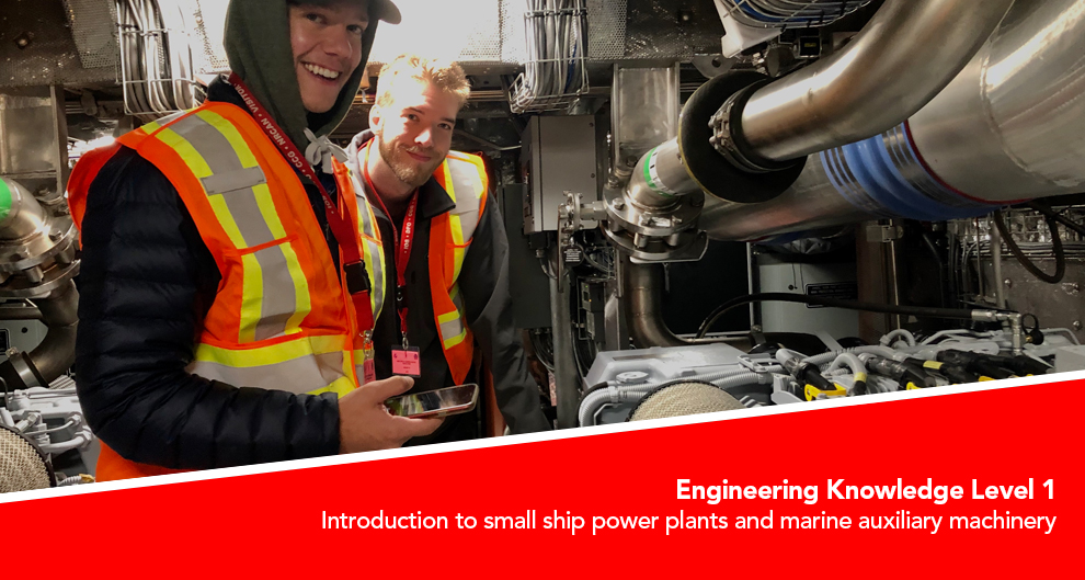 Engineering Knowledge